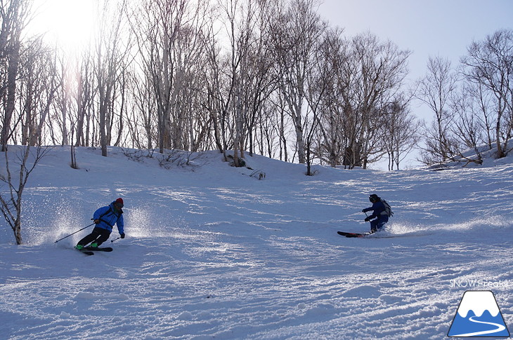 DYNASTAR SKI series Test Ride Days 2017 in ニセコユナイテッド【Day.2】～ニセコグラン・ヒラフ～